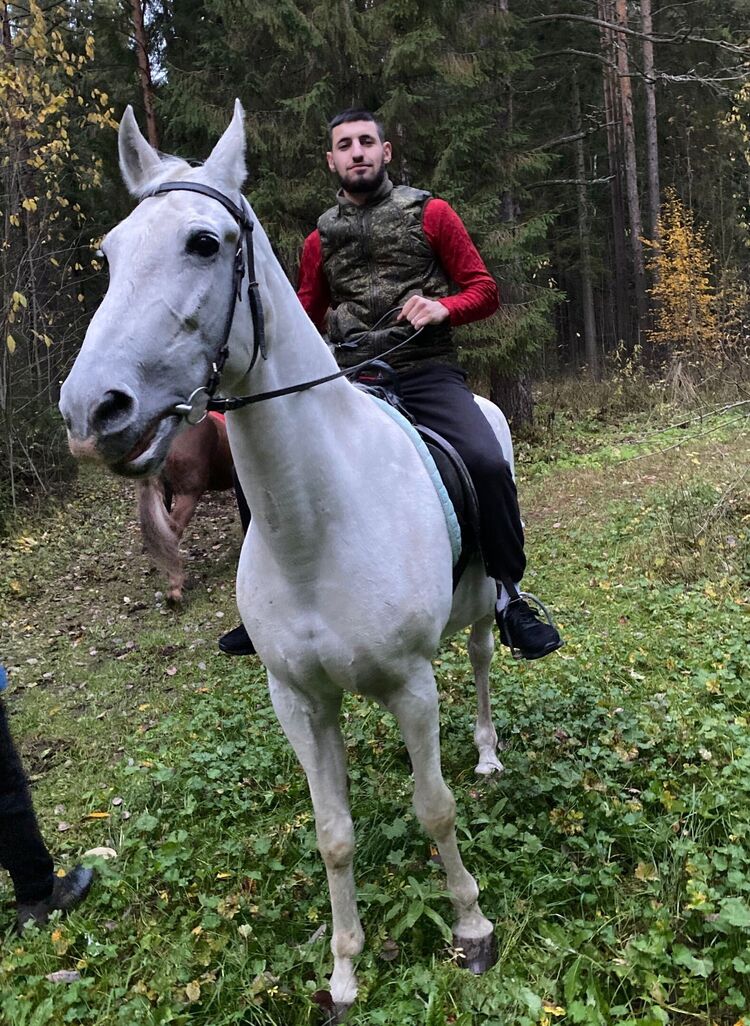 ���������� �����, ���� ������� ����, 26 ���, ������������ ��� ������, ����� � ���������, c�������� ���������, ���������