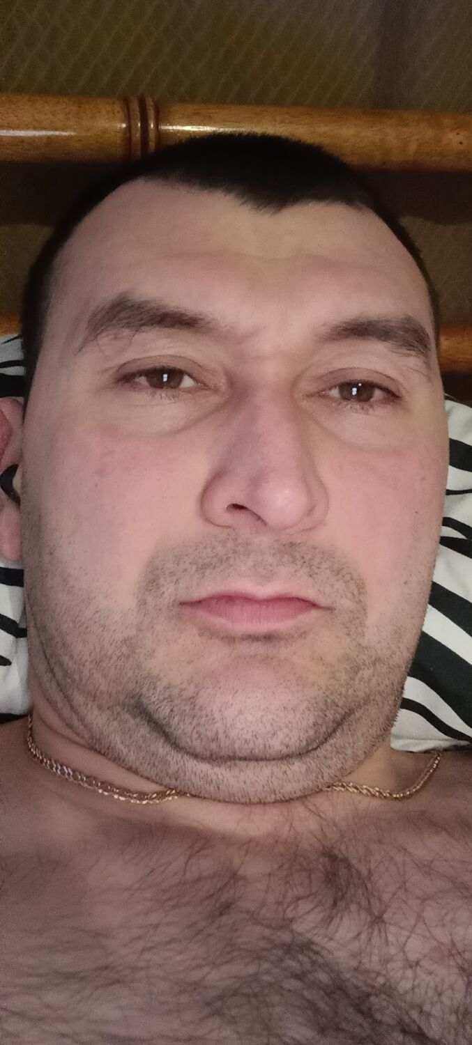  32681902  , 41 ,     