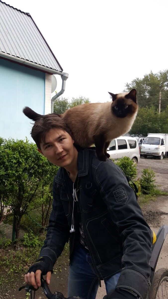 ���� 16545012 ������� ���, 33 ����, ���� ���������� � ������