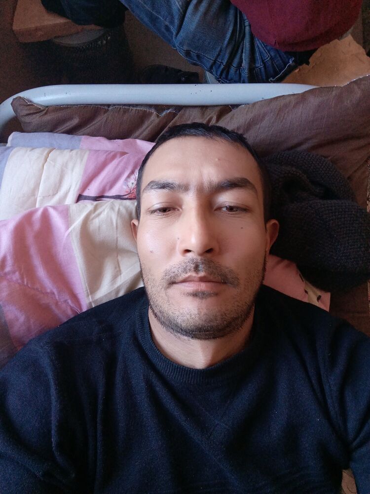 ���� 32130682 ������� Hamdam, 36 ���, ���� ���������� � ������