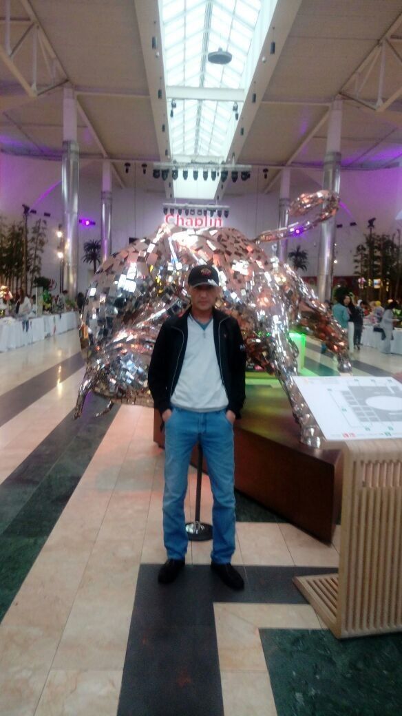  ,   , 56 ,   ,   , c 