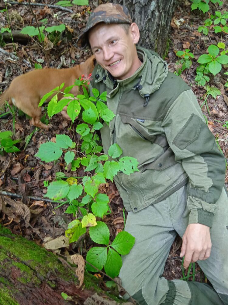 ���������� �����������, ���� ������� ��������, 37 ���, ������������ ��� ������, ����� � ���������