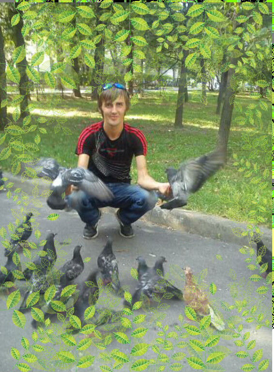 ���� 7337052 ������� ������, 36 ���, ���� ���������� � ������