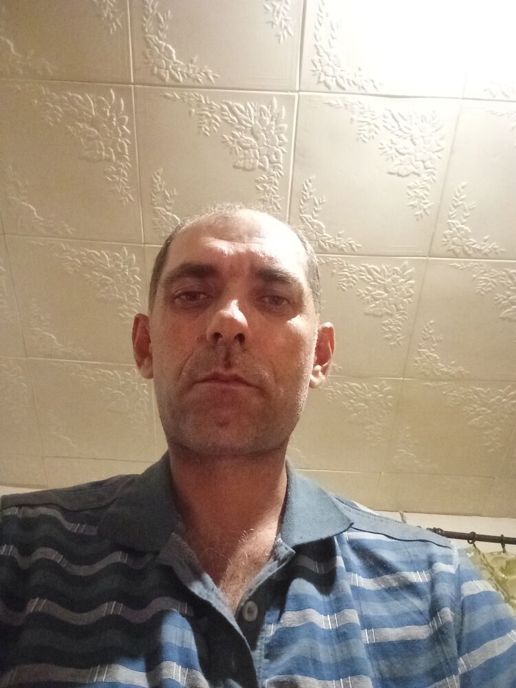 ���� 45313912 ������� �������, 42 ����, ���� ���������� � ������