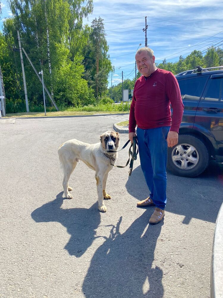 ���������� ������, ���� ������� ���������, 56 ���, ������������ ��� ������, ����� � ���������, c�������� ���������