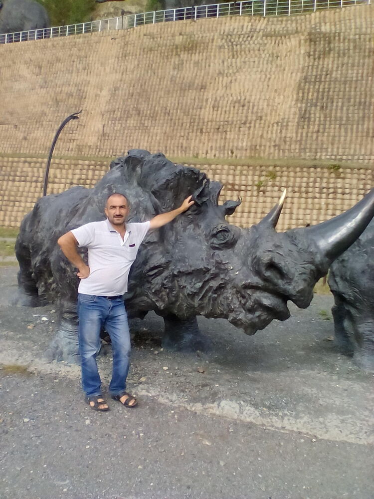 26544382  , 55 ,    