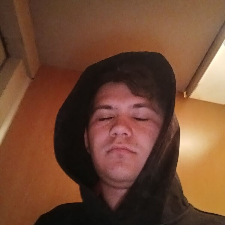   ,   , 19 ,   ,   , c , 