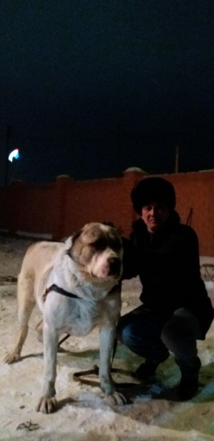  22879582  , 50 ,    