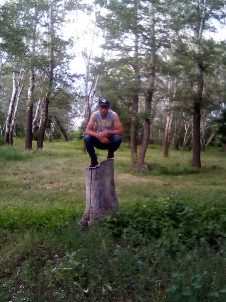  32237482  , 38 ,    