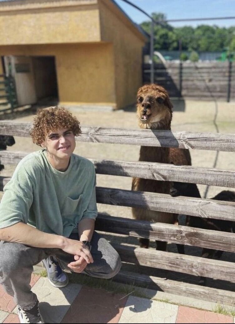 ���������� �����, ���� ������� �����, 26 ���, ������������ ��� c�������� ���������