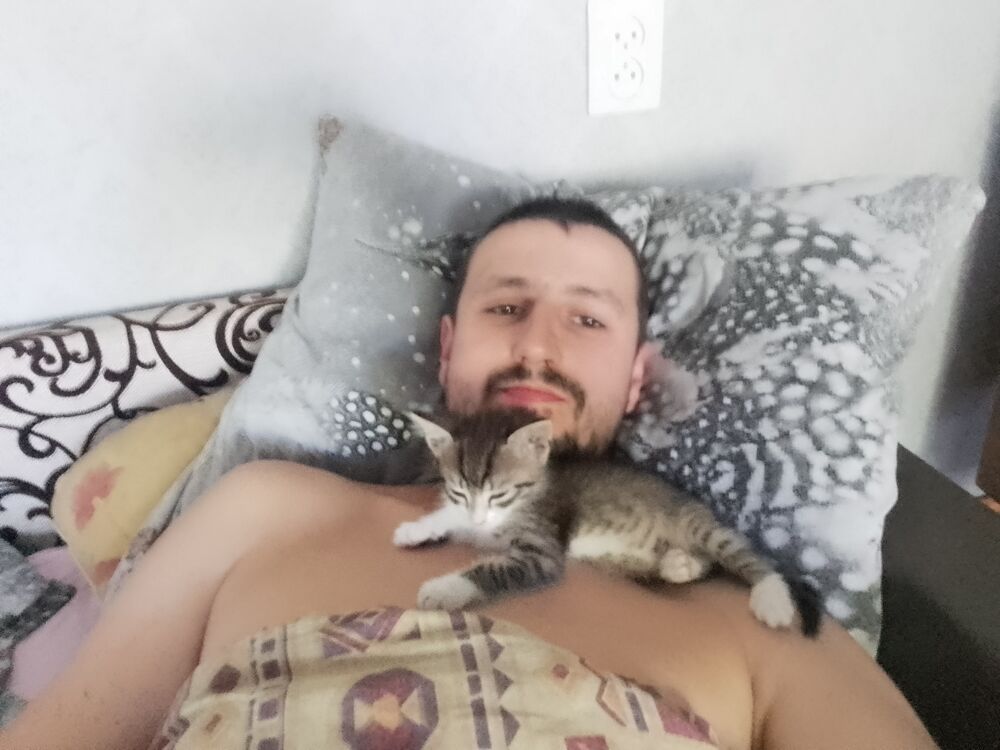 ���� 28643012 ������� �����, 32 ����, ���� ���������� � �������������