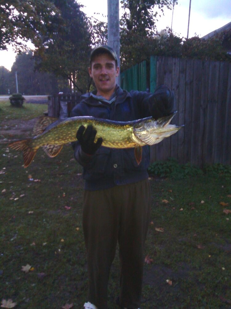 ���������� ������, ���� ������� ���������, 34 ����, ������������ ��� ������