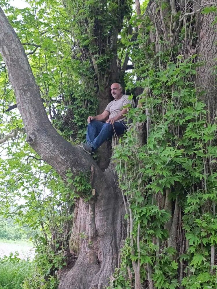  ,   , 45 ,     , 
