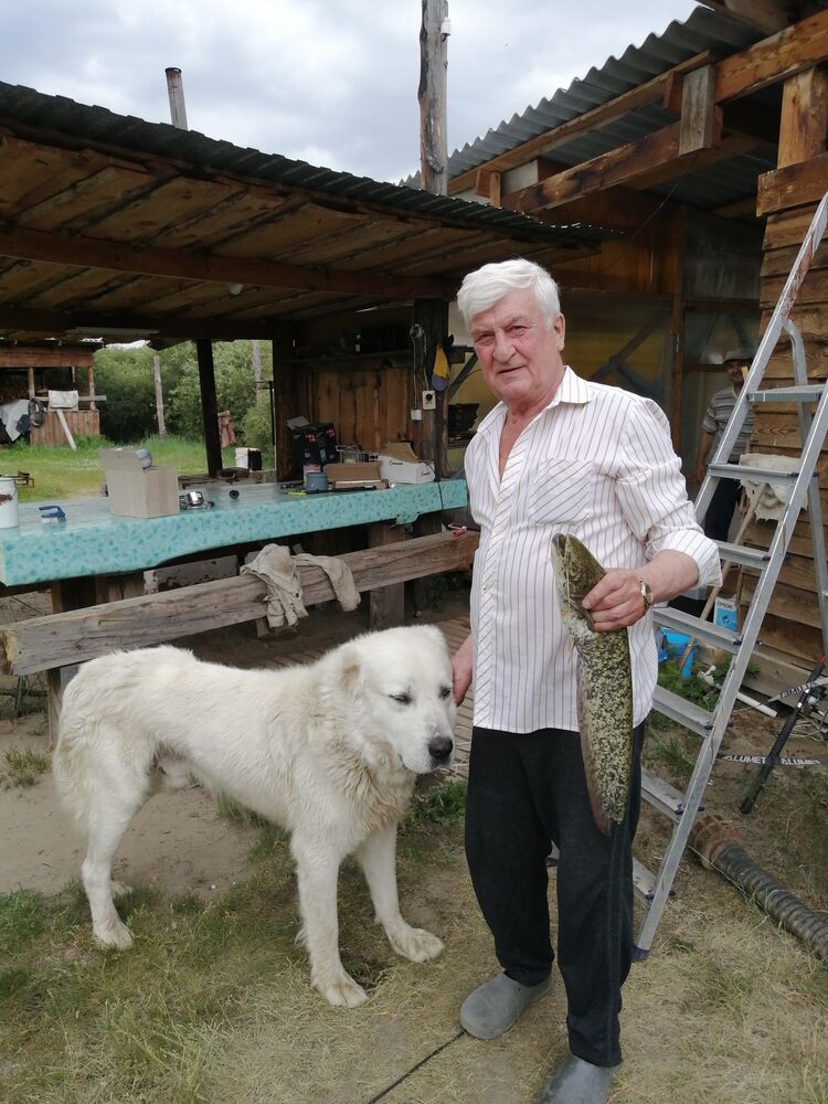  51877372  , 68 ,    -