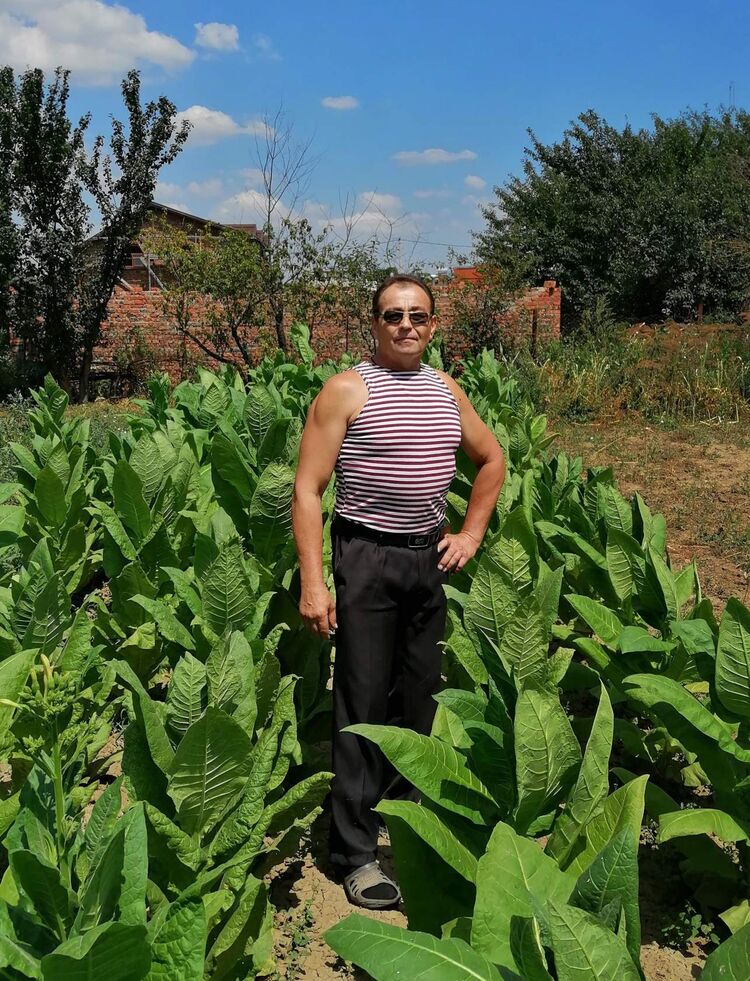  ,   , 57 ,  