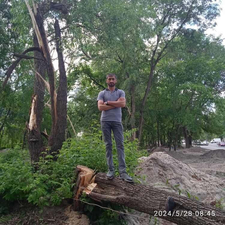  43495572  Arsen, 36 ,    