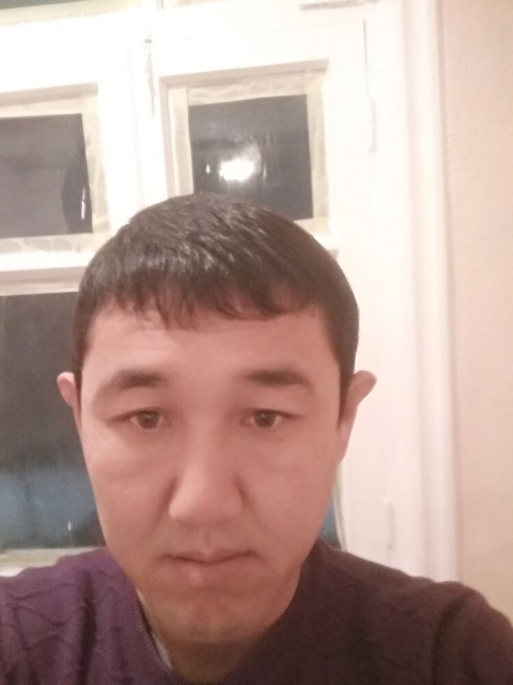  24958592  , 41 ,    