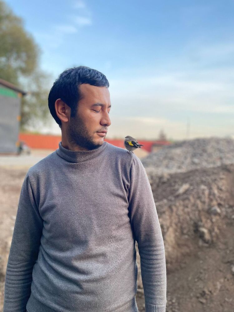 ���������� �������, ���� ������� Yaxyobek, 27 ���, ������������ ��� ������, ����� � ���������