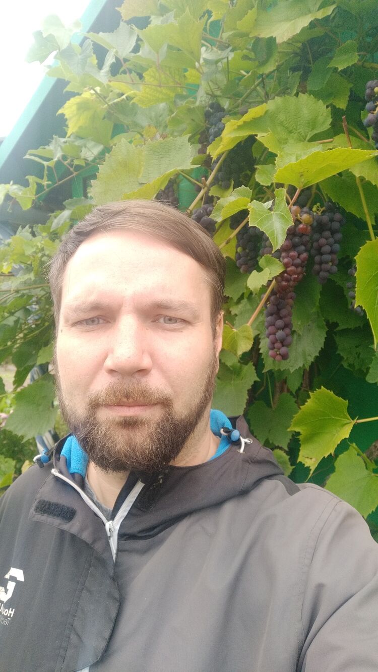 ���� 45150462 ������� �����, 36 ���, ���� ���������� � ���������