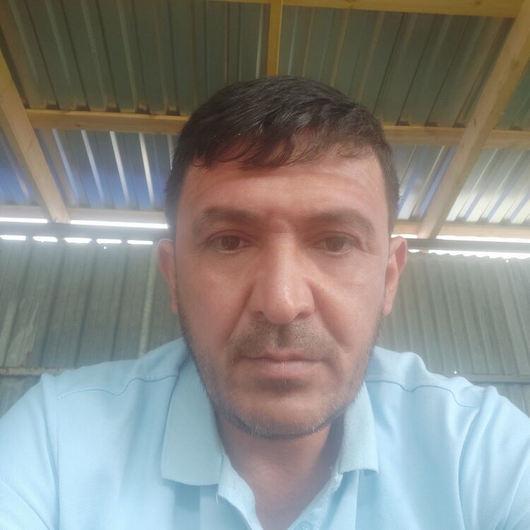  35339052  Vali, 46 ,    