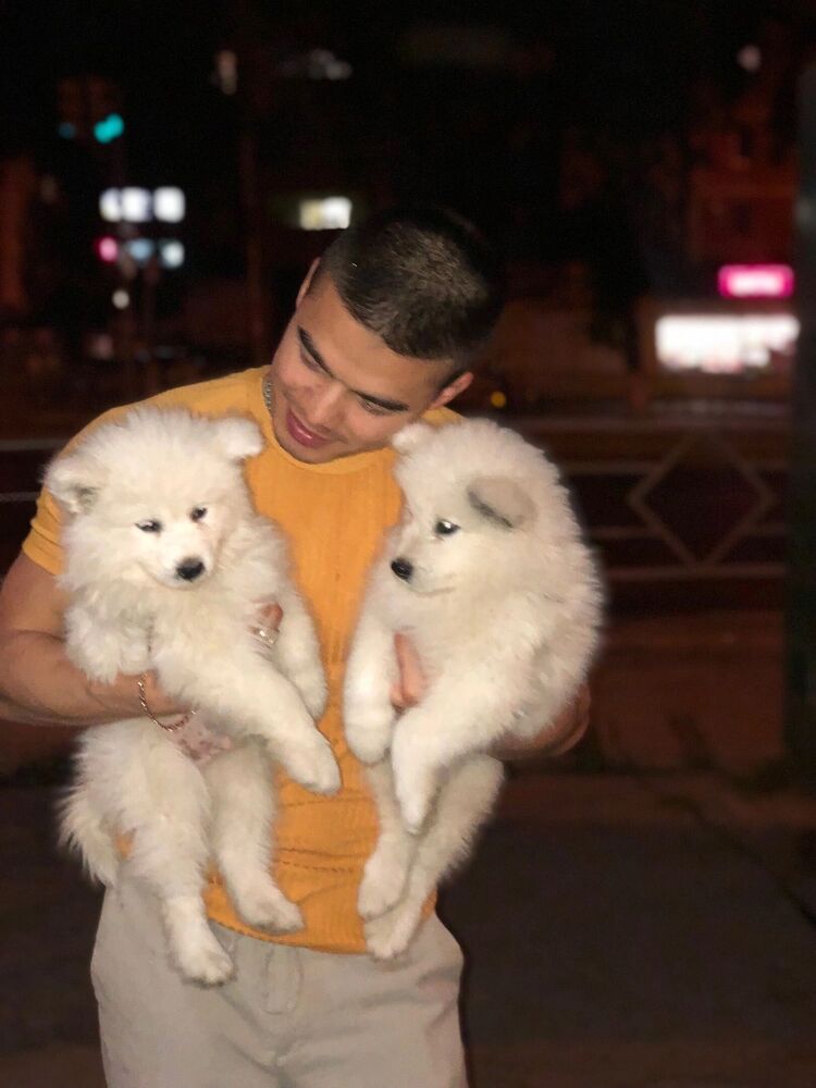 ���������� ������, ���� ������� ���, 27 ���, ������������ ��� ������, ����� � ���������, c�������� ���������