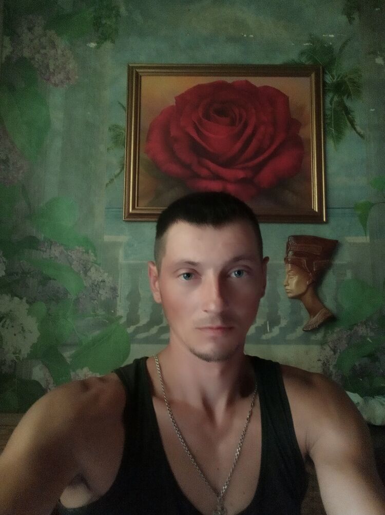  29044272  , 37 ,    