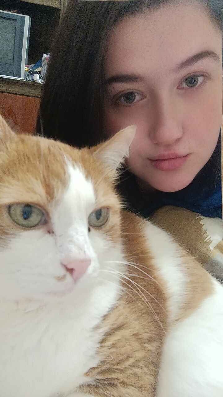 ���������� ������, ���� ������� ������, 27 ���, ������������ ��� ����� � ���������, ���������