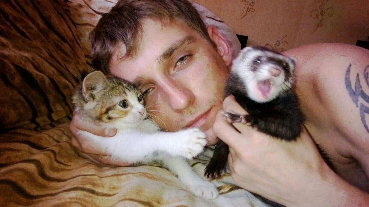  ,   , 41 ,   ,   