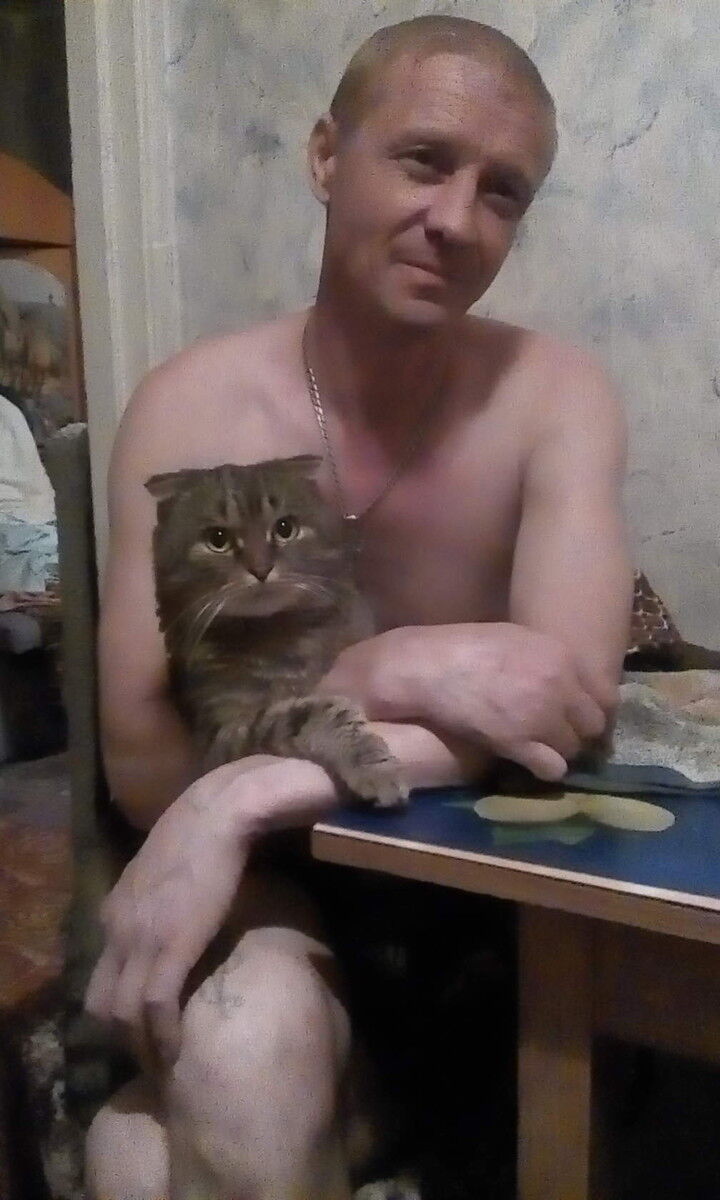  ,   , 54 ,   ,   , c 