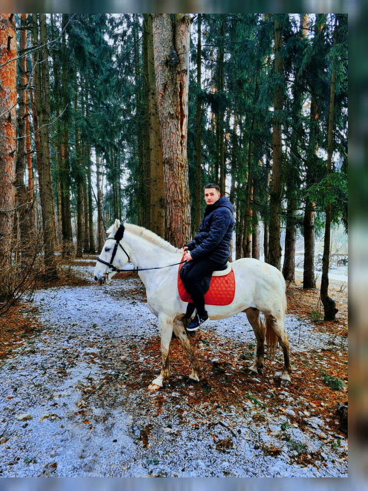 ���������� ����������, ���� ������� ������, 31 ���, ������������ ��� ������, ����� � ���������