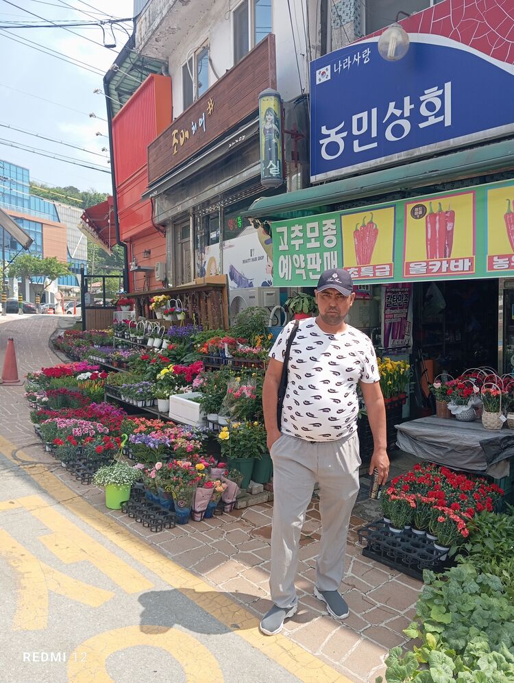  43028262  Odil, 37 ,    Ch'ongju