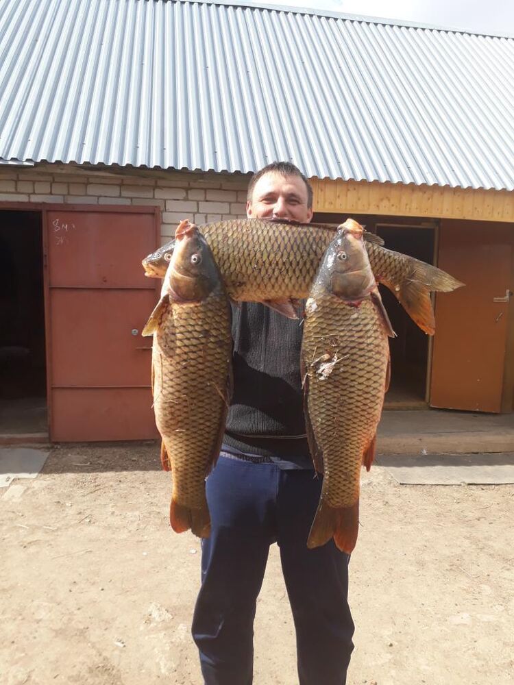 ���������� ������, ���� ������� ���, 39 ���, ������������ ��� ������, ����� � ���������