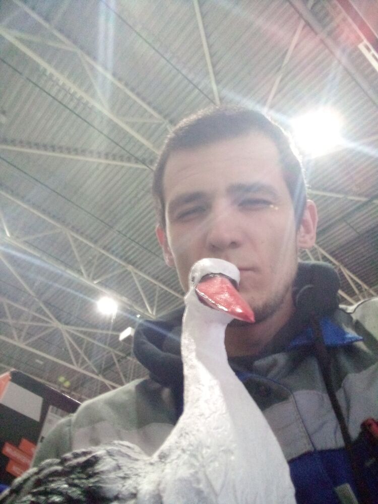 ���� 35395282 ������� �����, 31 ���, ���� ���������� � ����