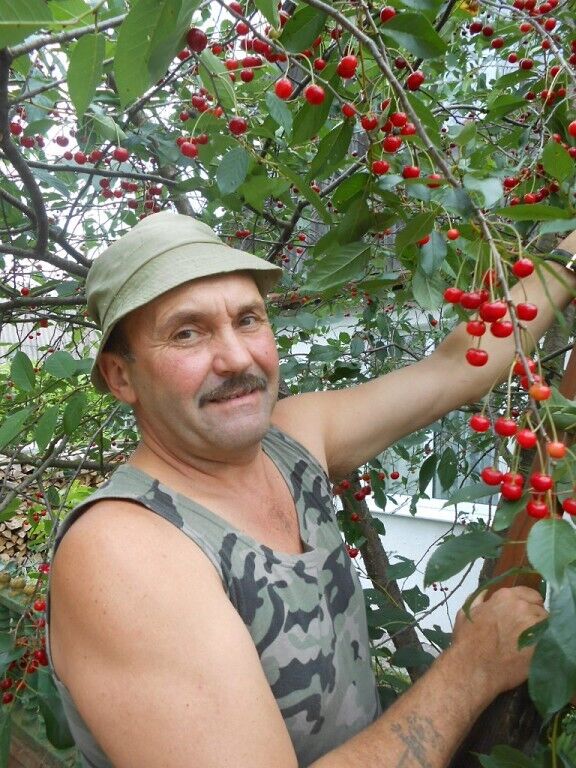  23157582  Aleksandr, 63 ,    