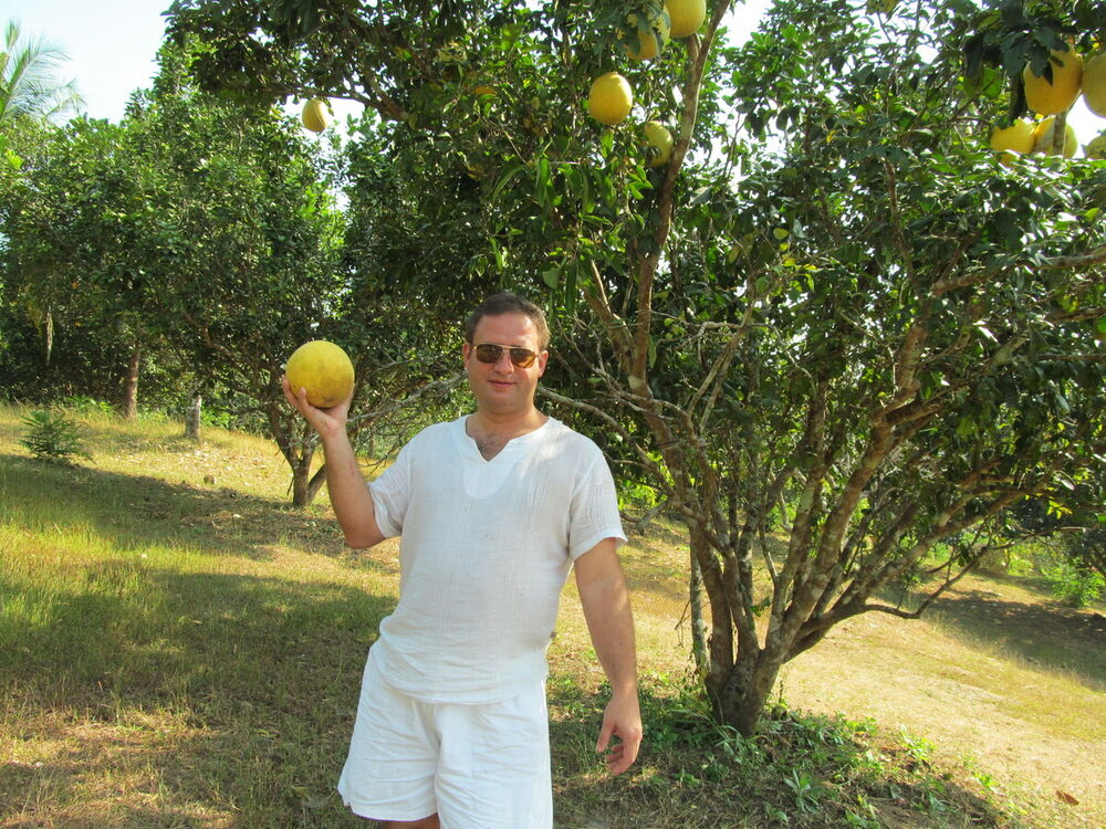 ���������� ���������, ���� ������� ����������, 50 ���, ������������ ��� ����� � ���������, c�������� ���������