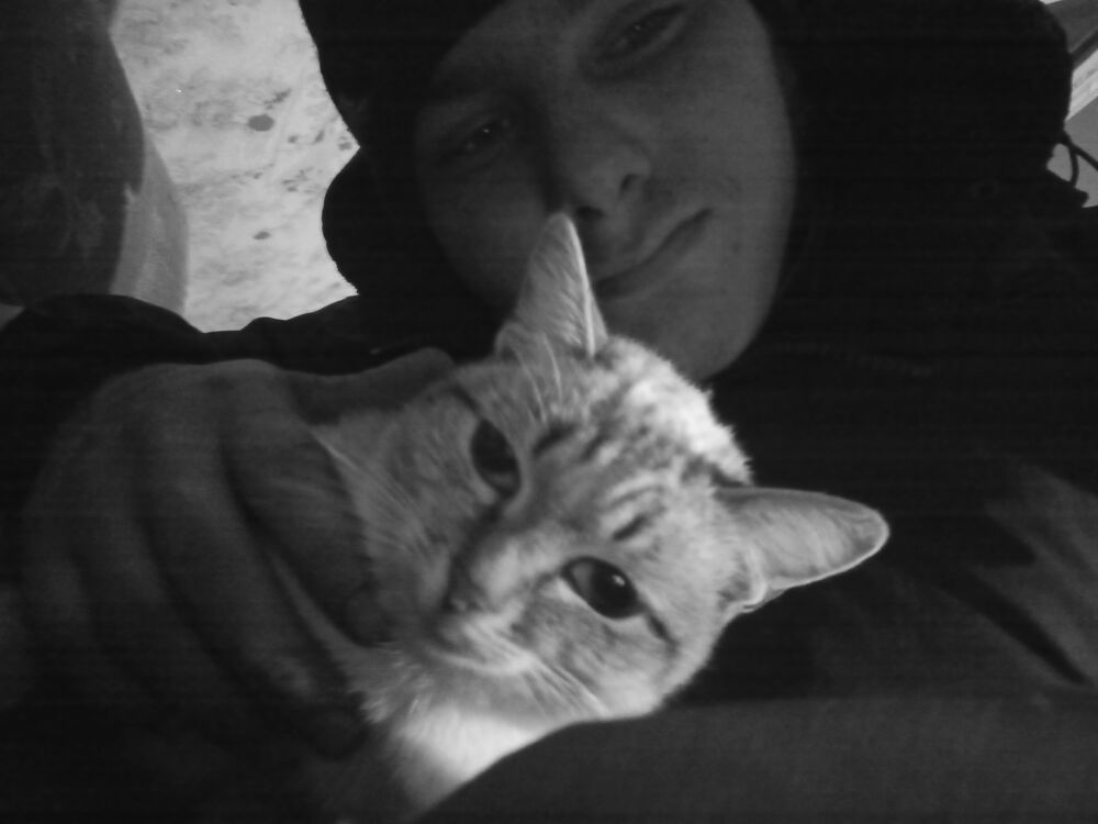 ���������� �����������, ���� ����� ������, 19 ���, ������������ ��� c�������� ���������