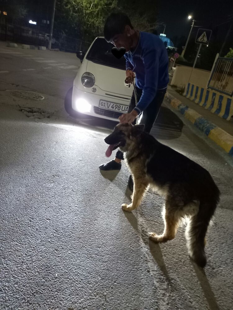  ,   , 30 ,   ,   
