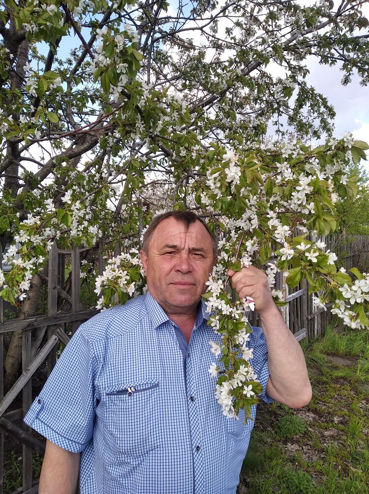 ���� 26236662 ������� �������, 56 ���, ���� ���������� � ��������