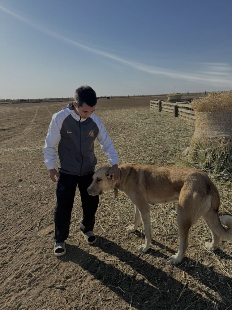 ���������� ��������, ���� ����� Pablo, 22 ����, ������������ ��� ������, ����� � ���������