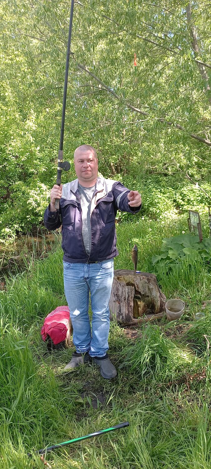 ���� 55967092 ������� �������, 38 ���, ���� ���������� � �������