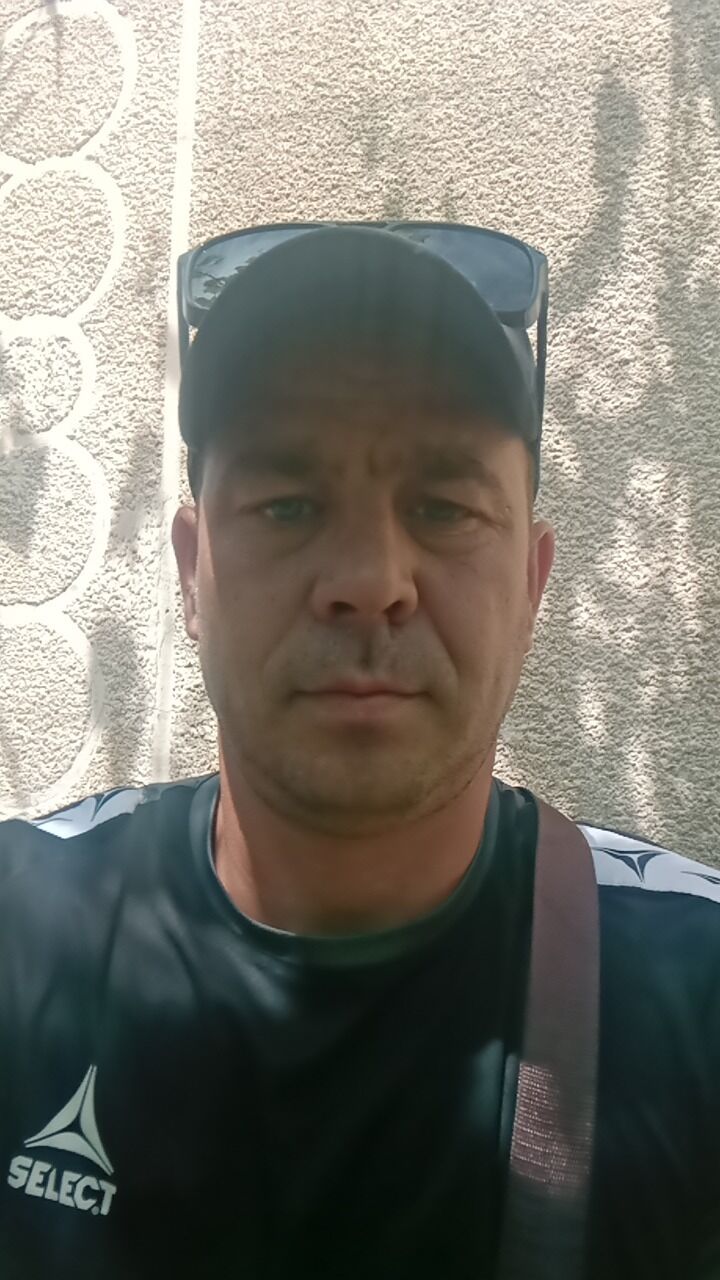  43382602  , 39 ,    