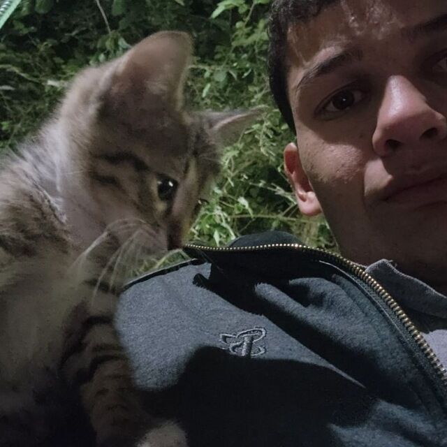 ���� 47885572 ����� ���������, 22 ����, ���� ���������� � ������