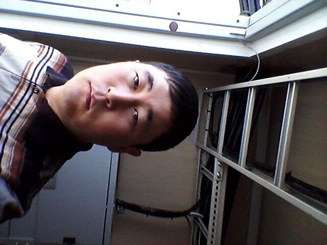 ���� 4248892 ������� Temur, 40 ���, ���� ���������� � ���������