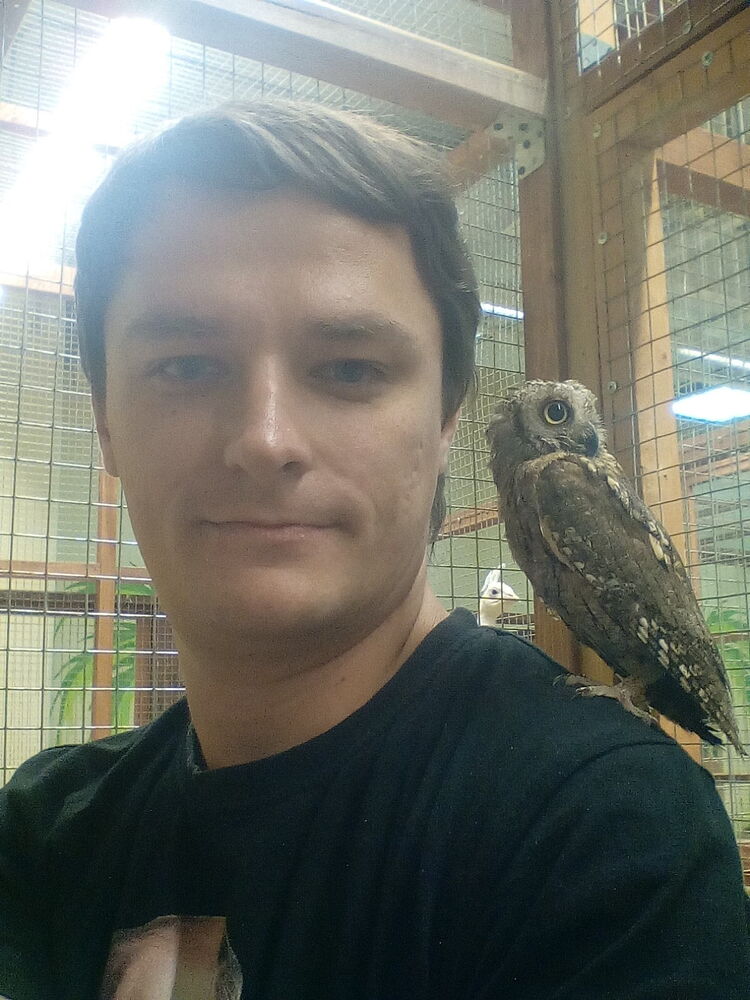 ���������� ��������, ���� ������� �����, 38 ���, ������������ ��� ����� � ���������, c�������� ���������