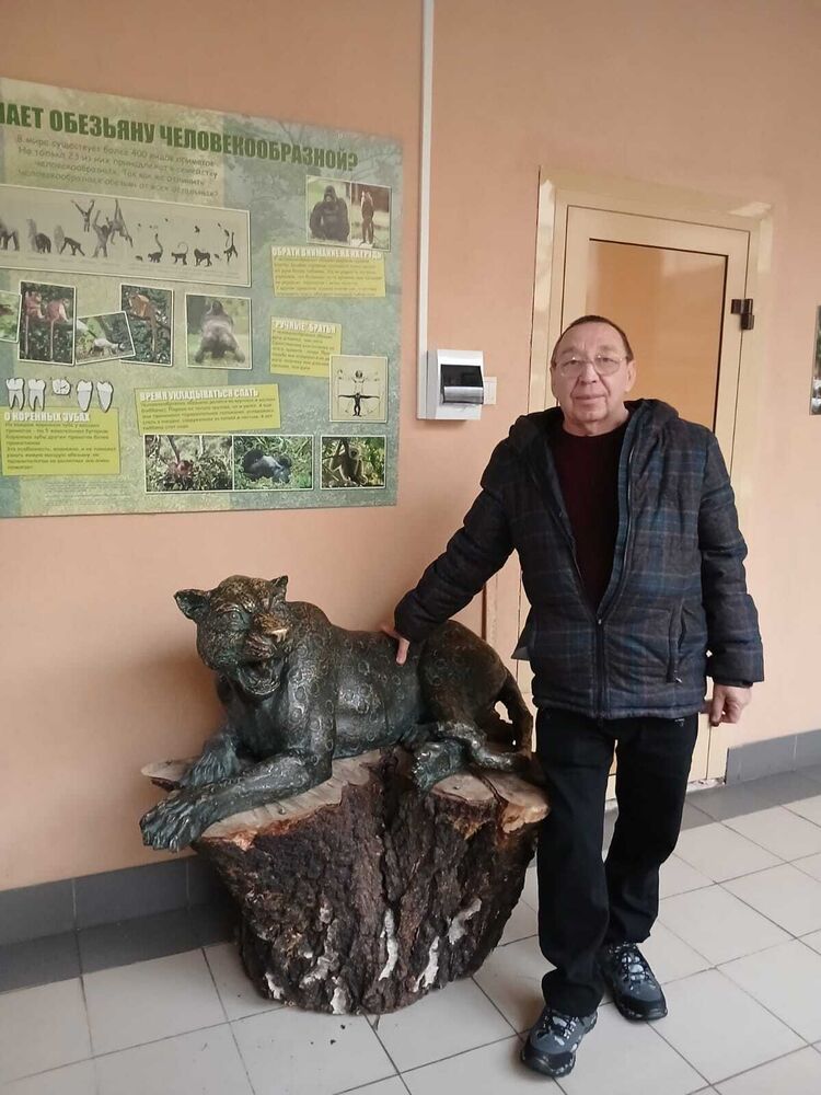 ���������� �����������, ���� ������� �������, 60 ���, ������������ ��� c�������� ���������