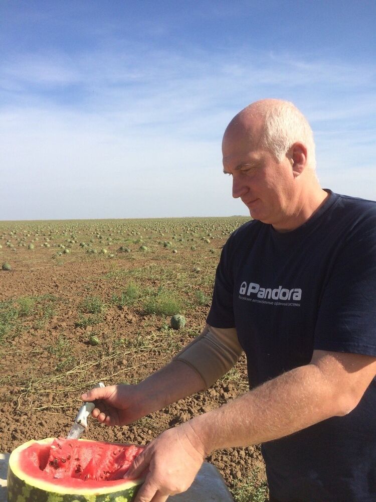 ���������� ������, ���� ������� �����, 60 ���, ������������ ��� ����� � ���������, c�������� ���������