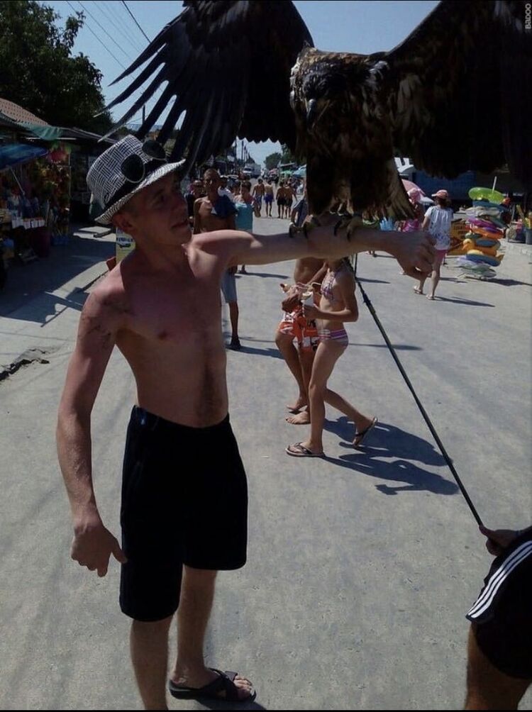 ���� 54959322 ������� �������, 31 ���, ���� ���������� � ���������