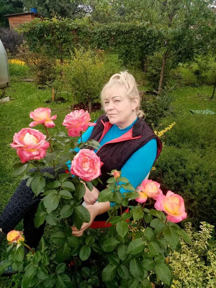 ���� 23944042 ������� ������, 64 ����, ���� ���������� � ������