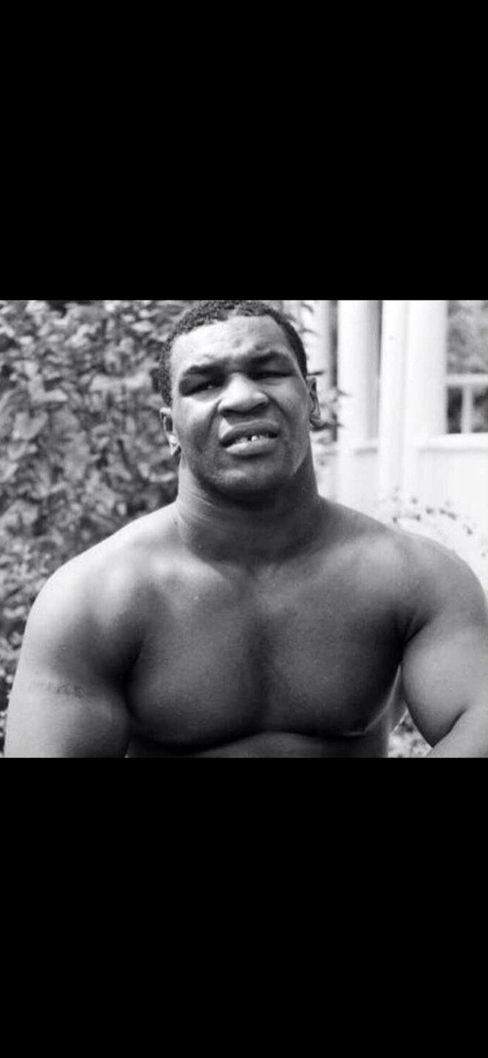 ���� 25808052 ������� Saymon, 33 ����, ���� ���������� � �������