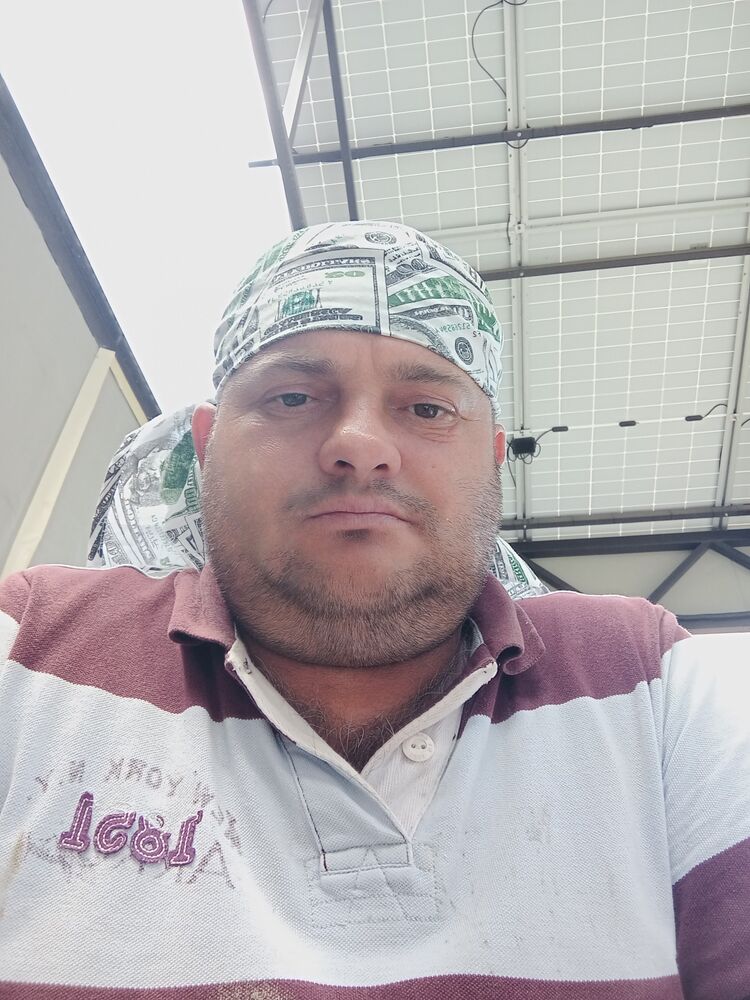 ���� 36987862 ������� �������, 48 ���, ���� ���������� � �����